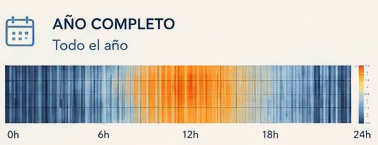 Año completo